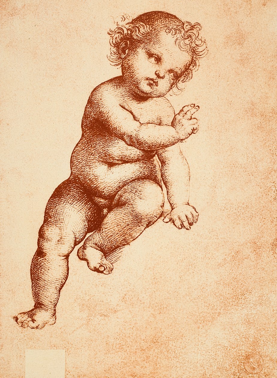 Estudo para um menino Jesus, desenhando por Raphael. Gallerie dellAccademia, Veneza de Raffaello Sanzio Raphael
