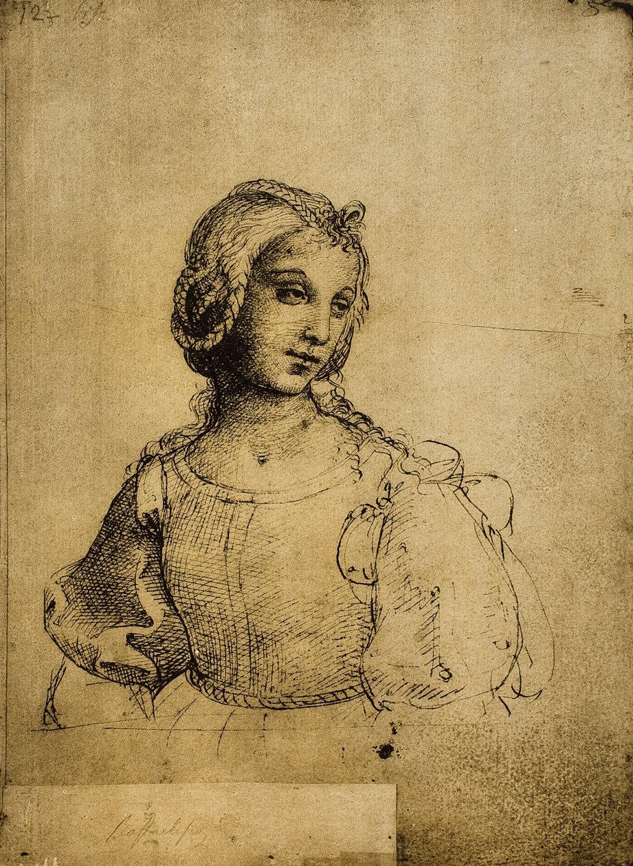 Estudo de uma mulher; desenho de Raphael. Gallerie dellAccademia, Veneza de Raffaello Sanzio Raphael
