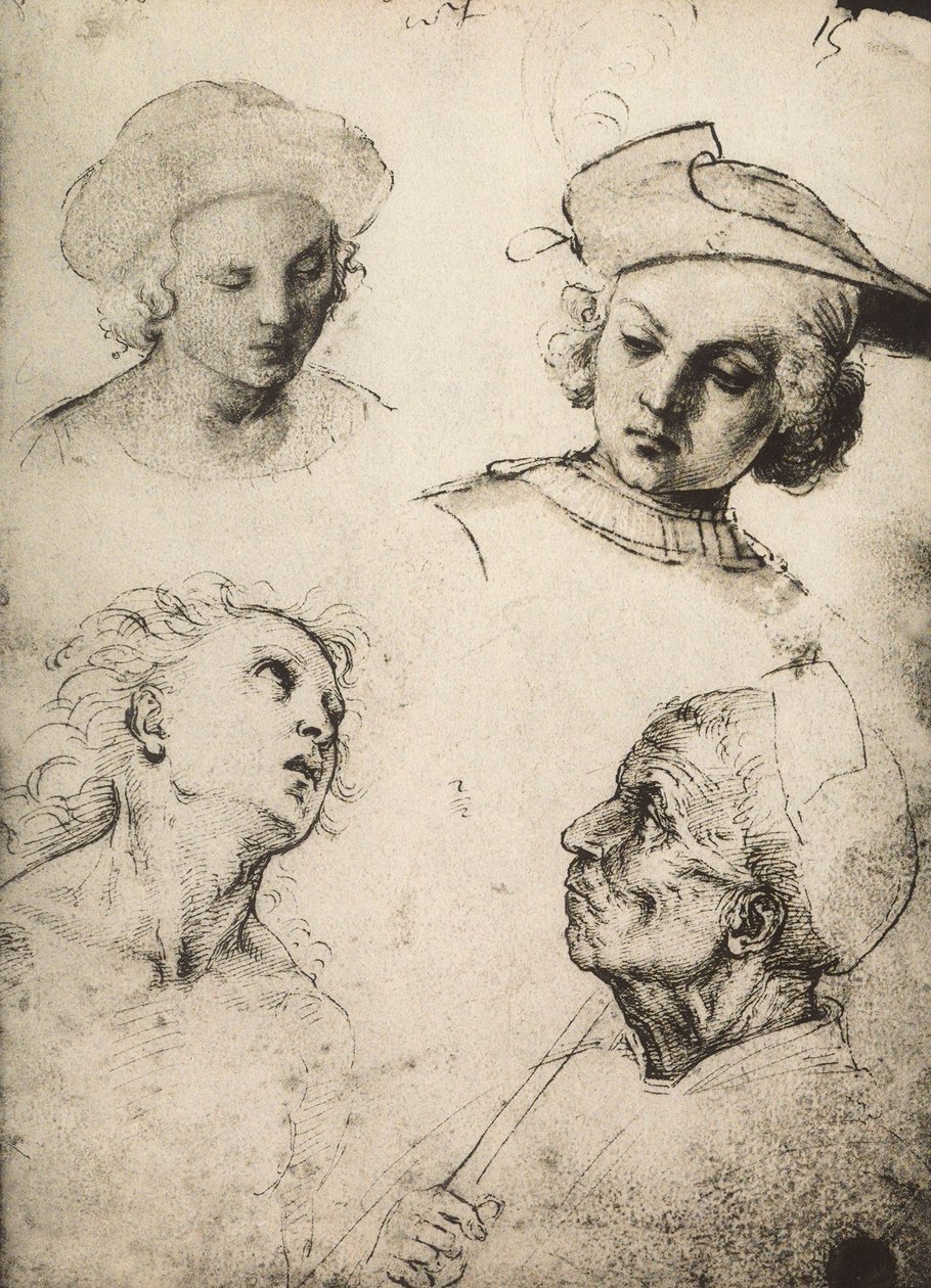 Estudo de quatro rostos masculinos; desenho de Raphael. Gallerie dellAccademia, Veneza de Raffaello Sanzio Raphael
