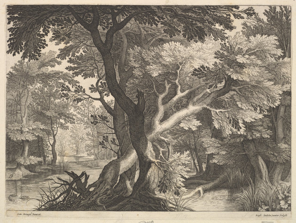 Paisagem arborizada. de Raphael Sadeler
