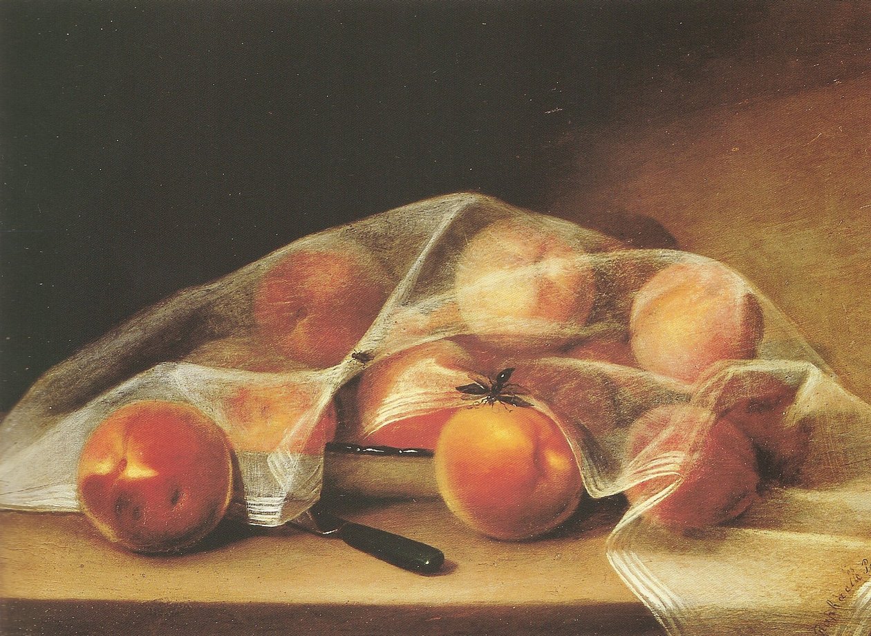 Peças de fruta com pêssegos cobertos por um lenço-raphaelle peale de Raphaelle Peale