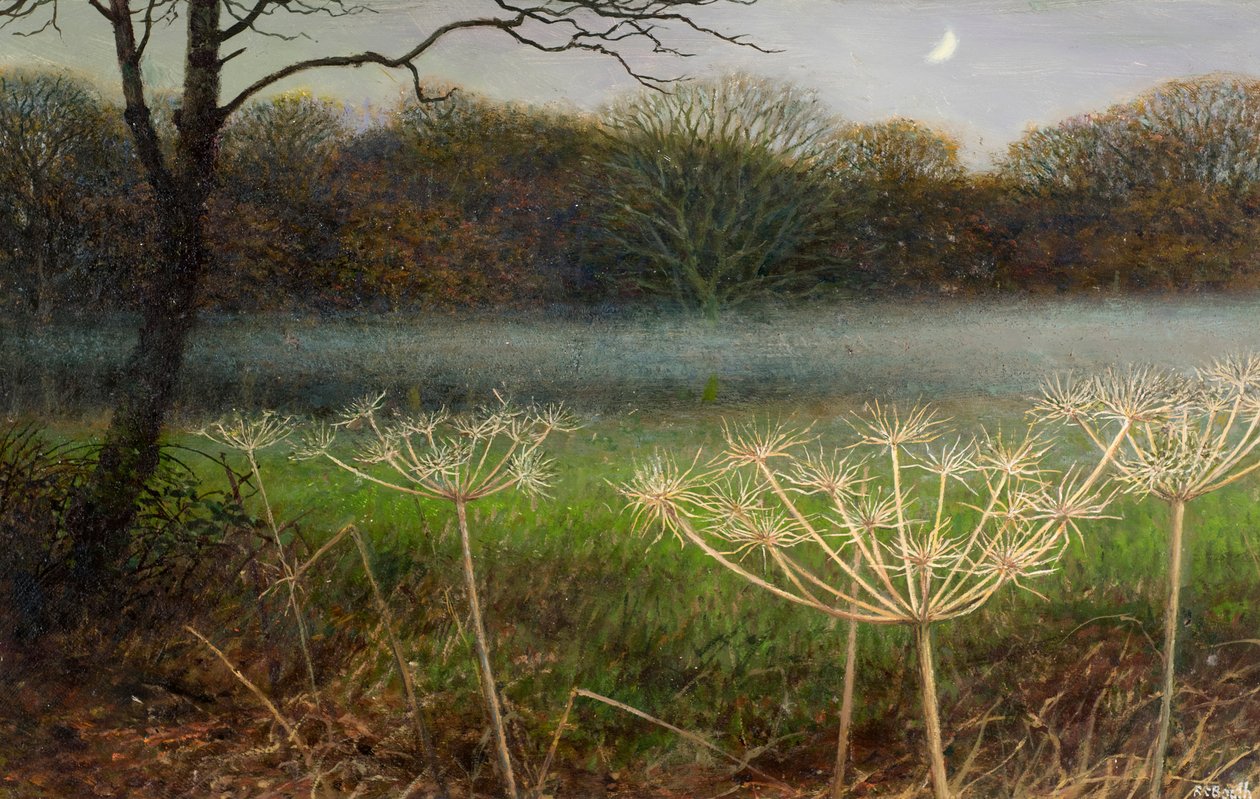 dezembro ao anoitecer: nevoeiro sobre os campos (óleo sobre cartão) de Raymond Booth