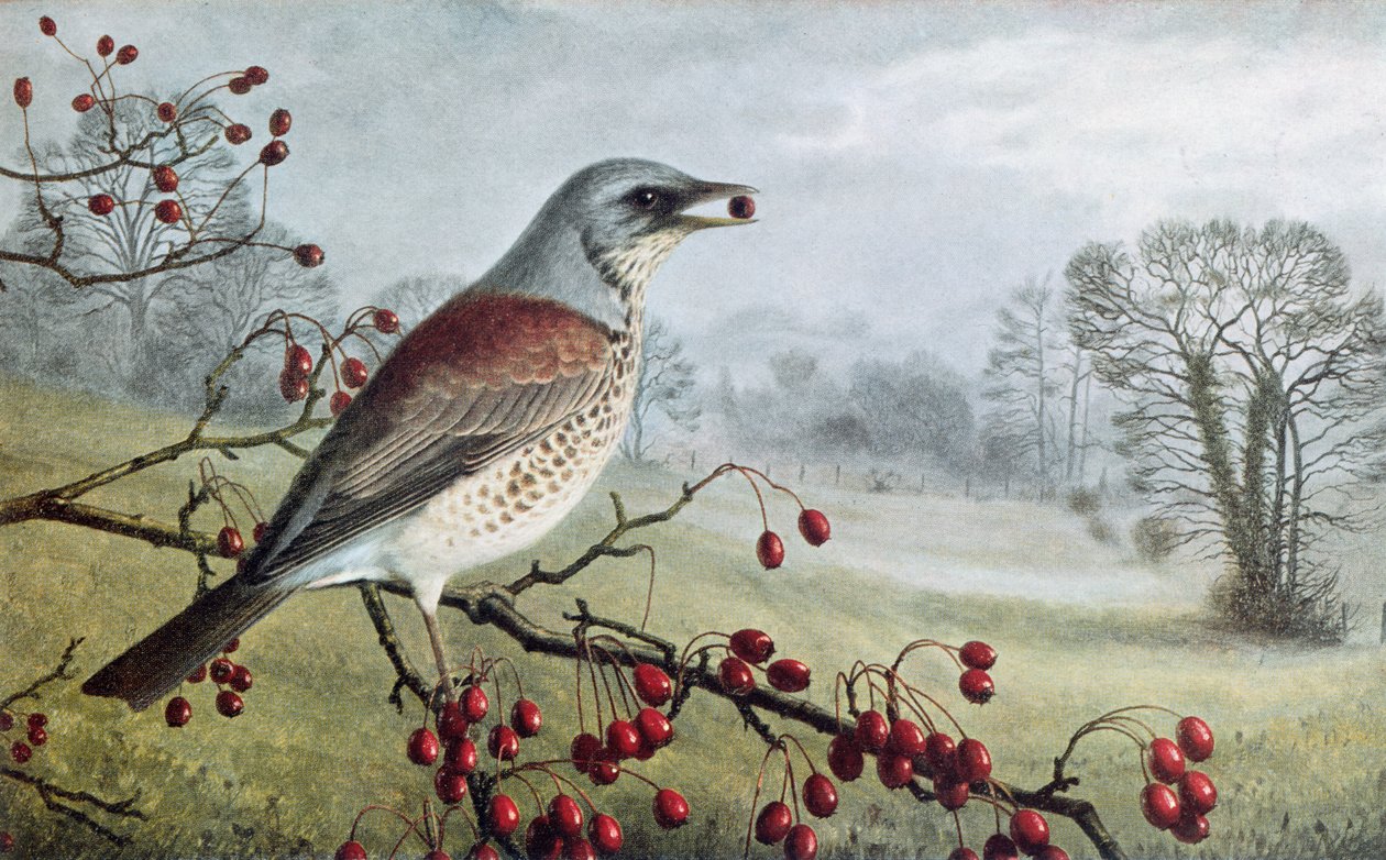 Campo de batalha de Raymond Booth