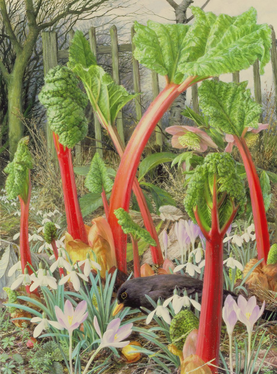 In the Rhubarb Patch, 2000 (óleo sobre tábua) de Raymond Booth
