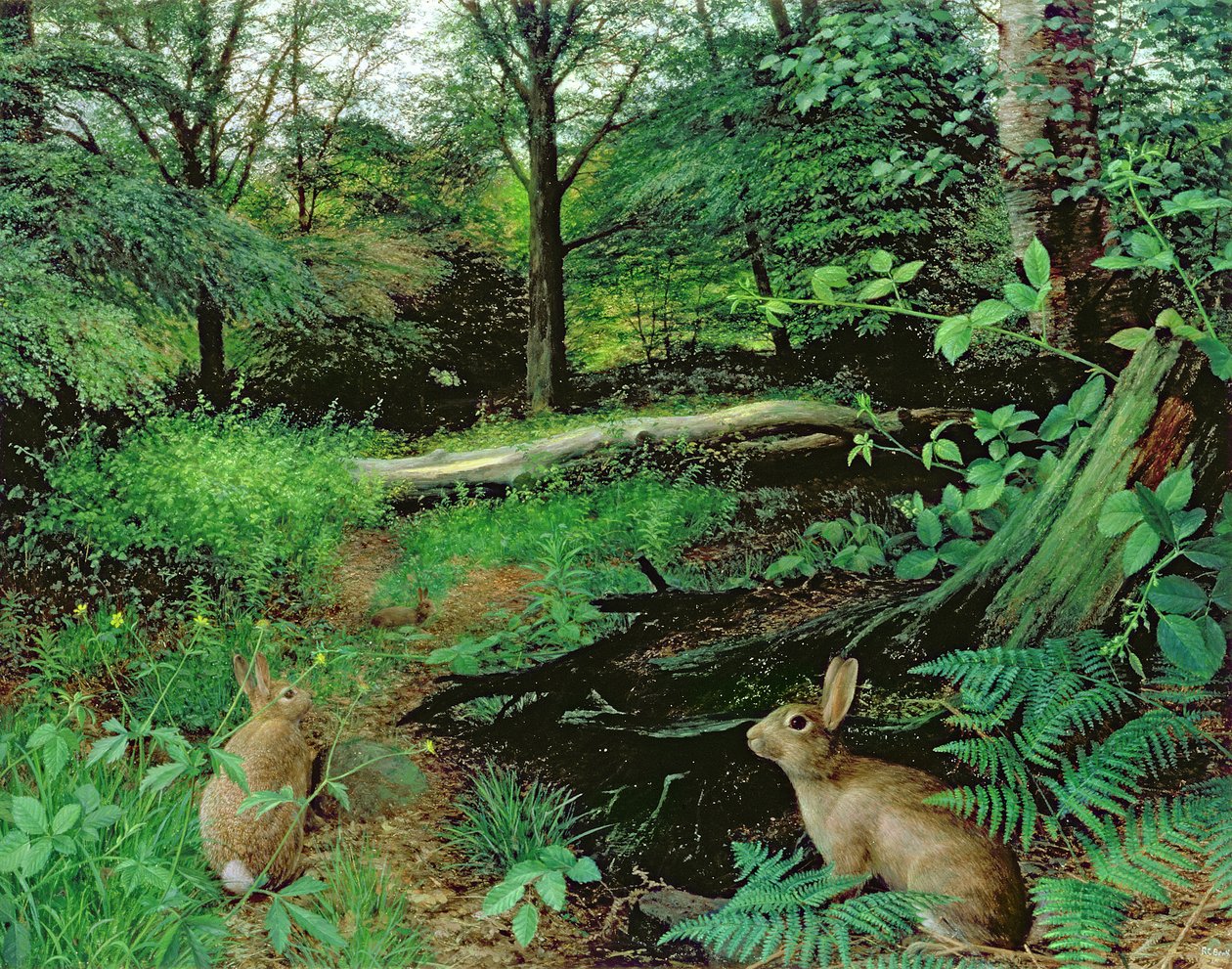 No bosque - Uma noite de verão (óleo sobre tábua) de Raymond Booth