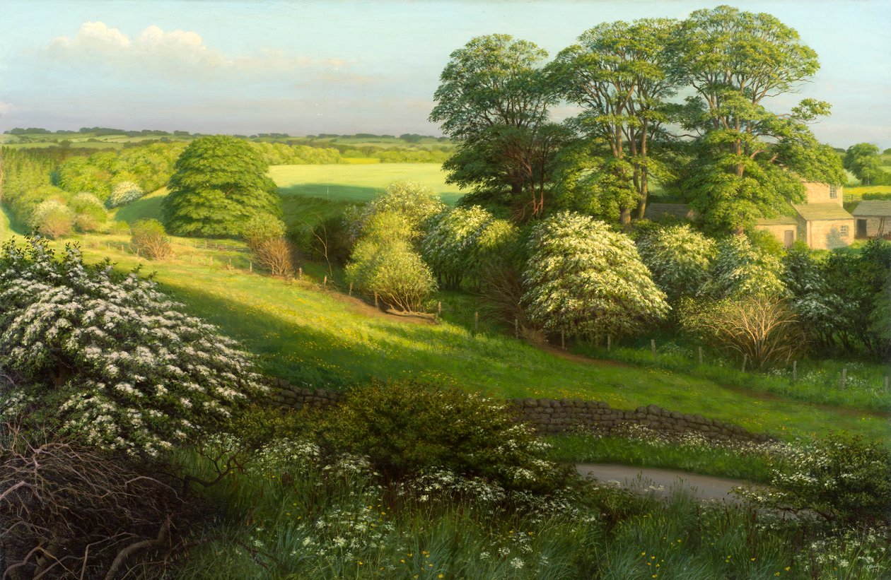 Paisagem de Raymond Booth