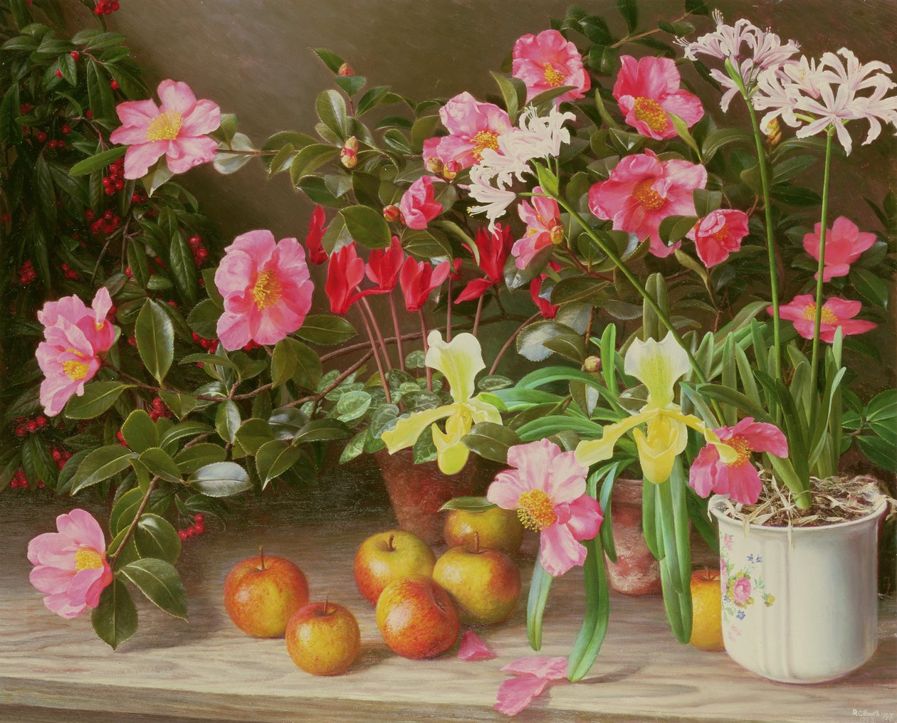 Flores de novembro de Raymond Booth