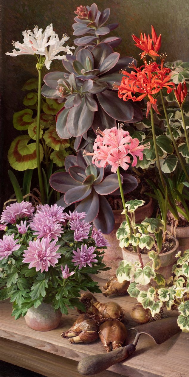 Flores de outubro de Raymond Booth
