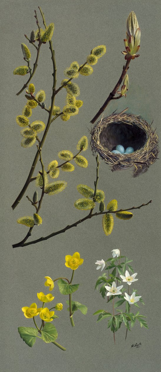 Estudos de primavera (óleo sobre papel) de Raymond Booth