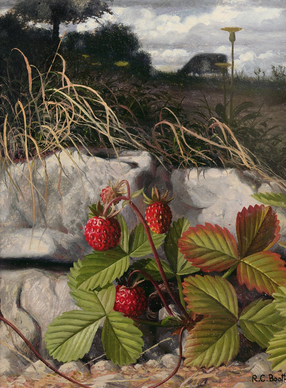 Morangos (óleo sobre painel) de Raymond Booth