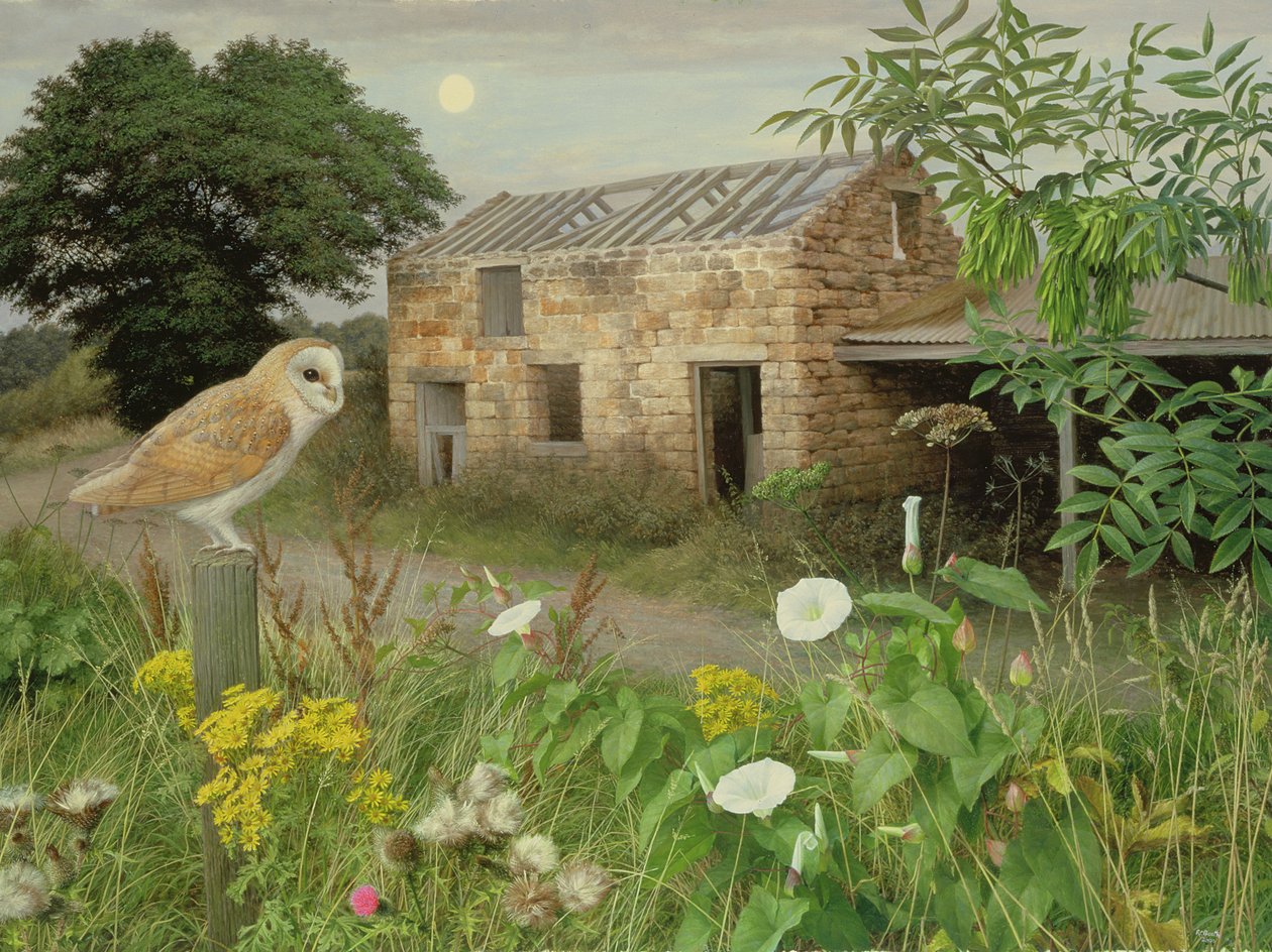 The Old Farm Buildings at Eccup, 2000 (óleo sobre cartão) de Raymond Booth