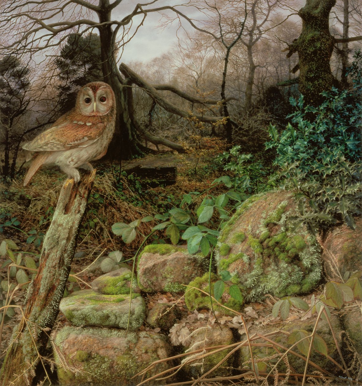 O Bosque Selvagem - Uma noite de inverno de Raymond Booth