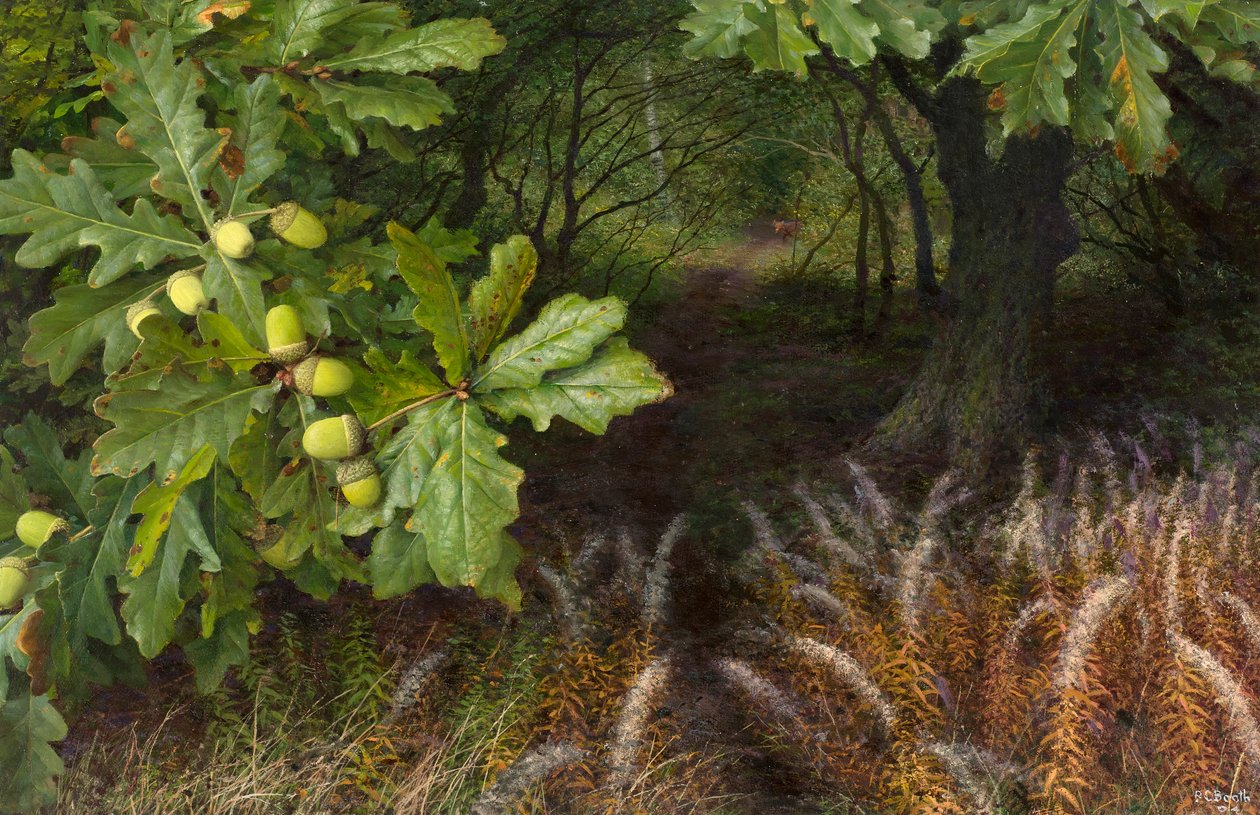 O caminho para o bosque (óleo sobre cartão) de Raymond Booth