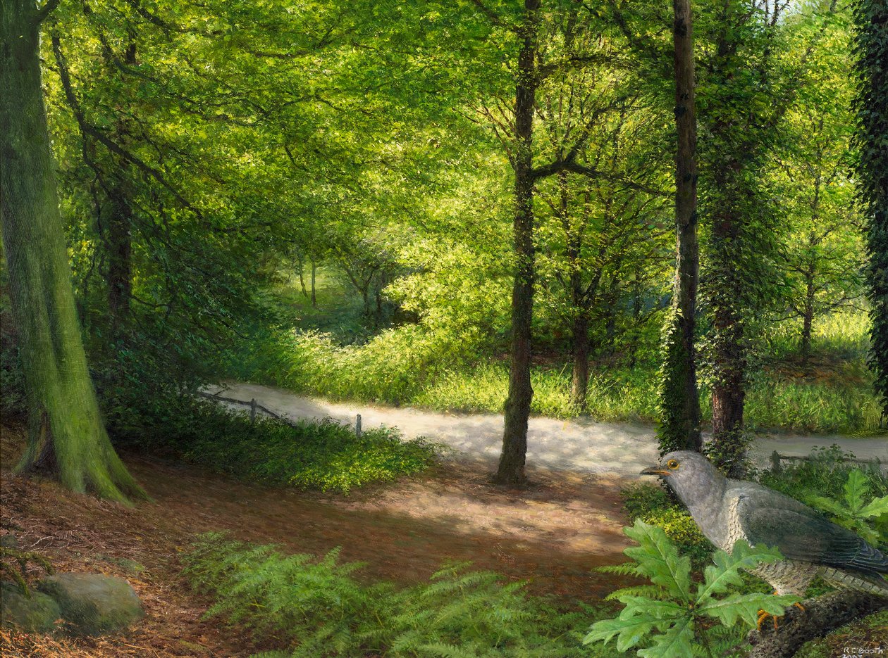 Bosque com pomba-torcaz de Raymond Booth