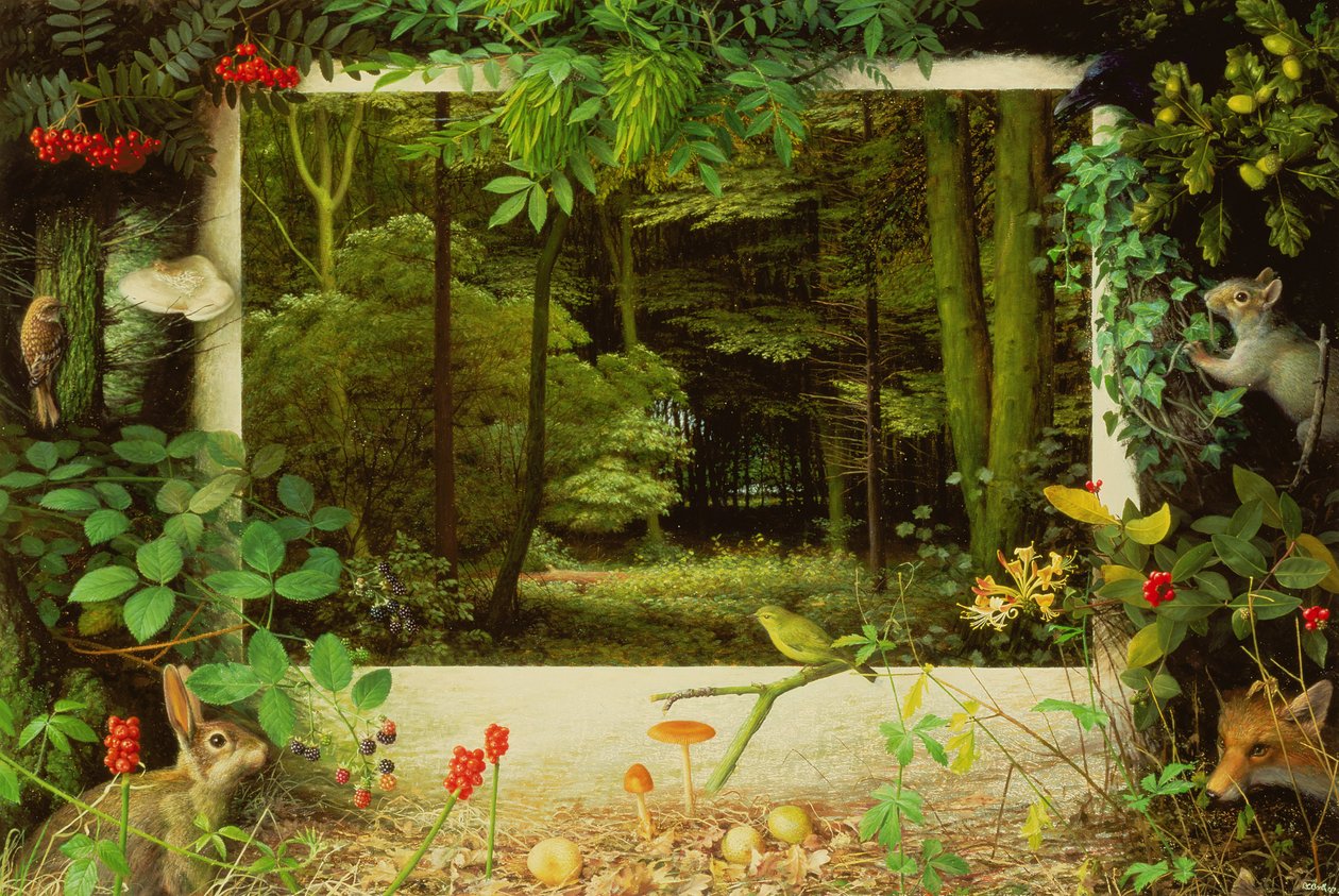 A entrada do bosque de Raymond Booth