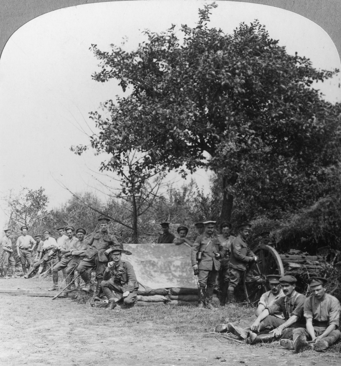 Uma bateria de artilharia de campo real, desfrutando de algumas horas de descanso em uma madeira, Primeira Guerra Mundial, c1914-c1918 de Realistic Travels Publishers