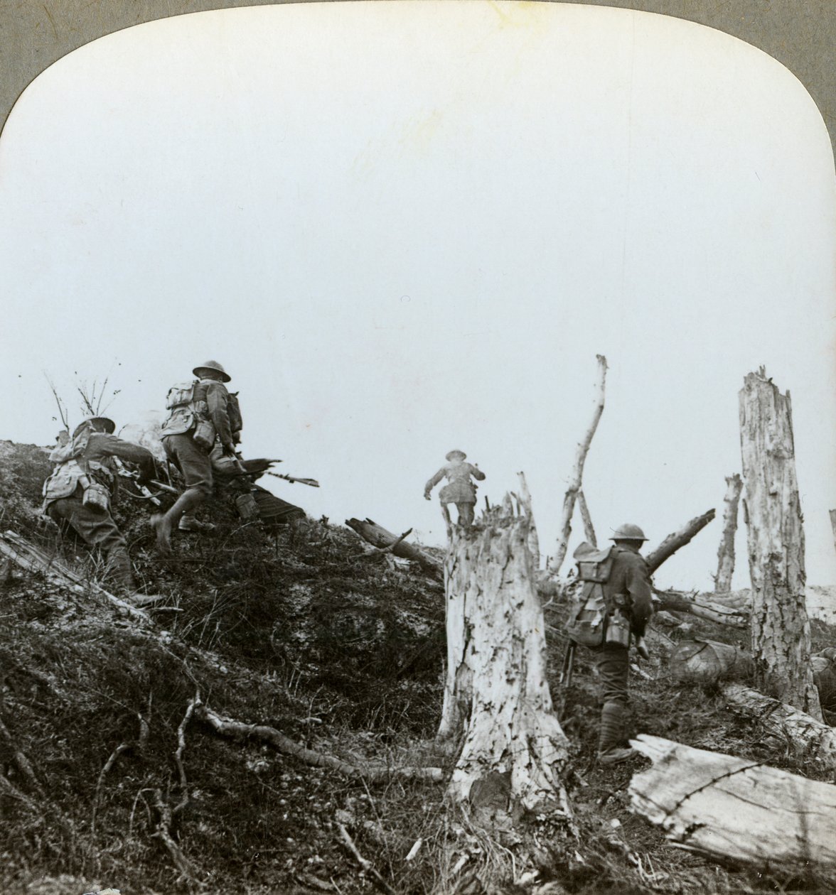 Assalto em Trones Wood, Somme, França, Primeira Guerra Mundial, 1916 de Realistic Travels Publishers