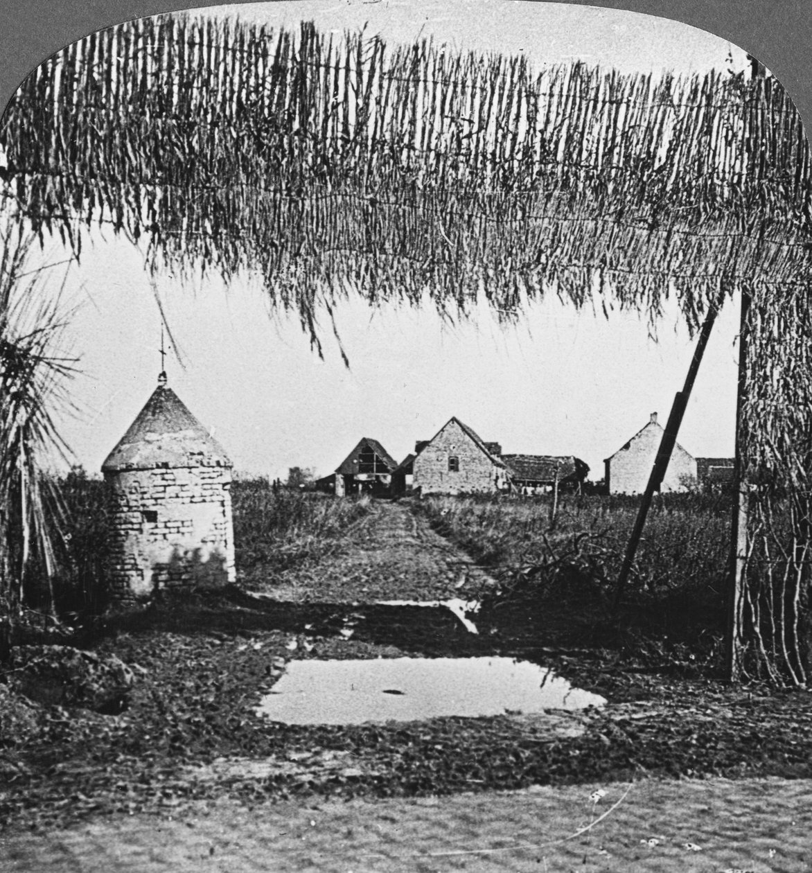 Camuflagem engenhosa, Primeira Guerra Mundial, c1914-c1918. de Realistic Travels Publishers