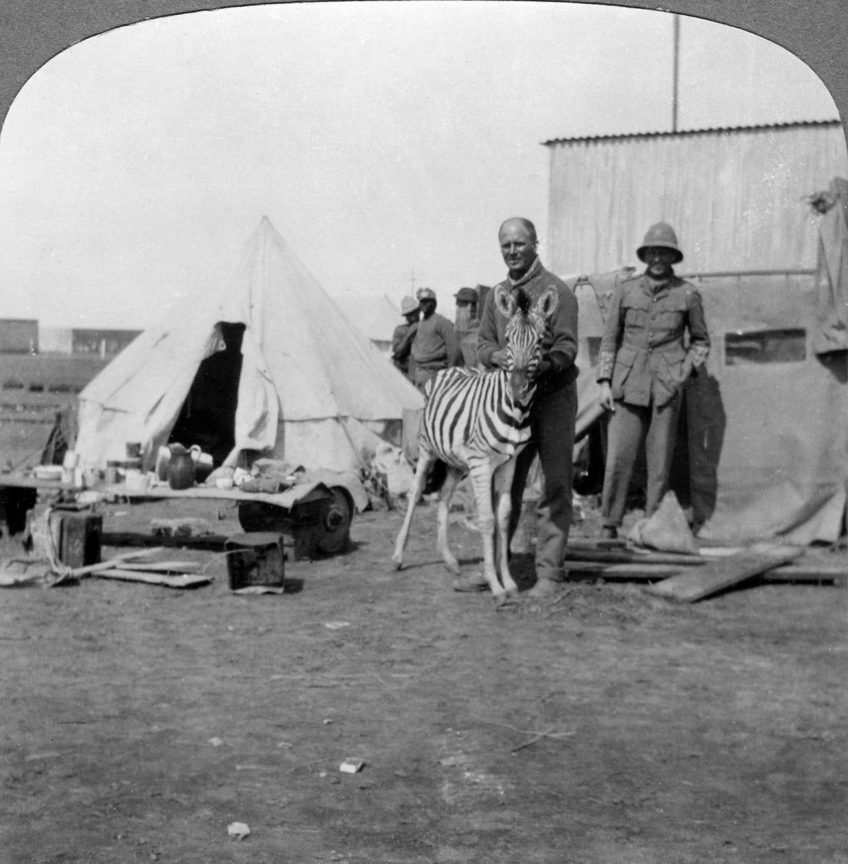 Artilheiros sul-africanos com sua zebra de estimação, África Oriental, Primeira Guerra Mundial, 1914-1918. de Realistic Travels Publishers