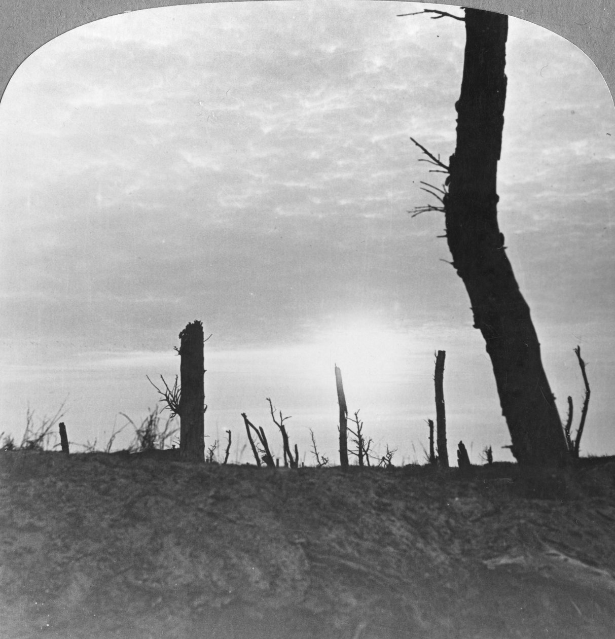 O sol se põe sobre a terra do homem na Somme, França, Primeira Guerra Mundial, c1914-c1918 de Realistic Travels Publishers