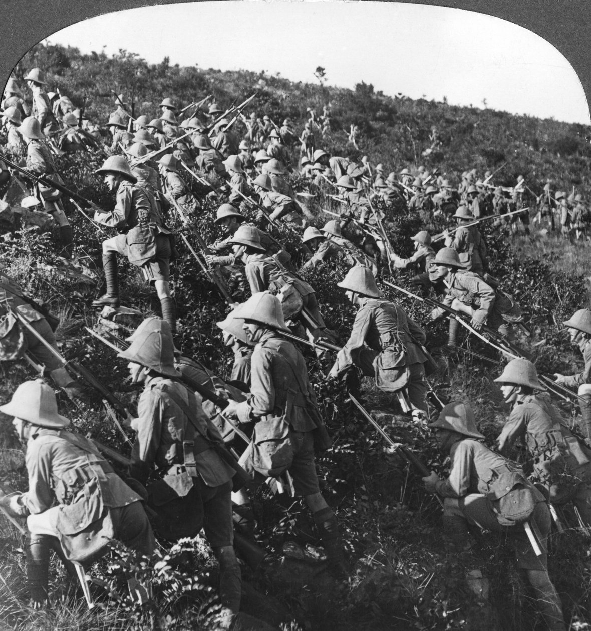 Eles continuam, a verdadeira corrida de cães de touros de nossas tropas em Gallipoli, Turquia, Primeira Guerra Mundial, 1915 de Realistic Travels Publishers