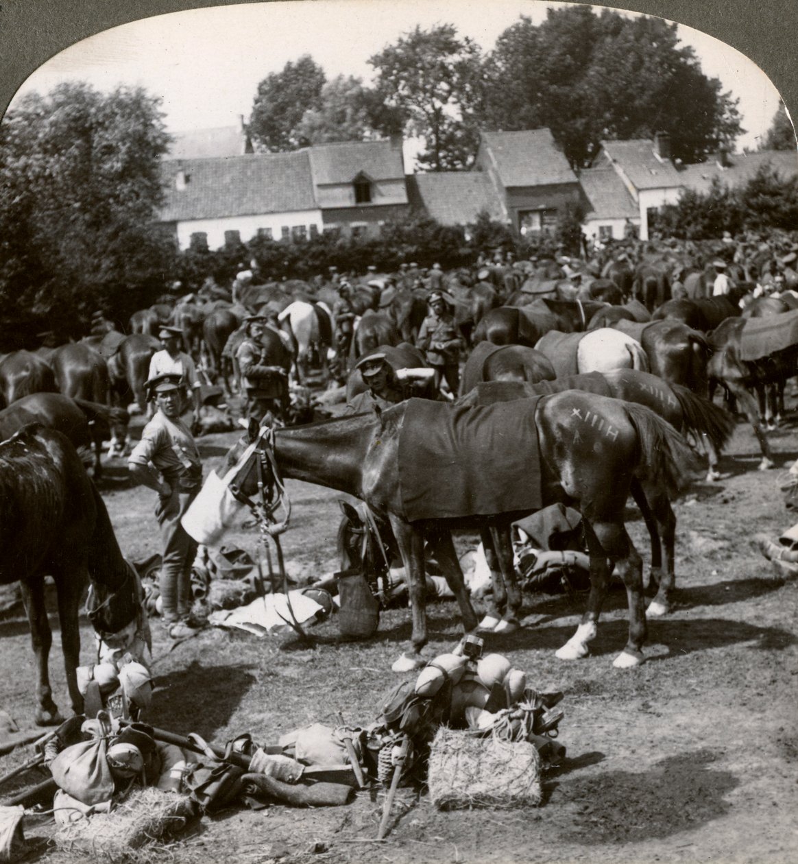 Tropas que alimentam seus cavalos e descansam na marcha, Primeira Guerra Mundial, 1914-1918. de Realistic Travels Publishers