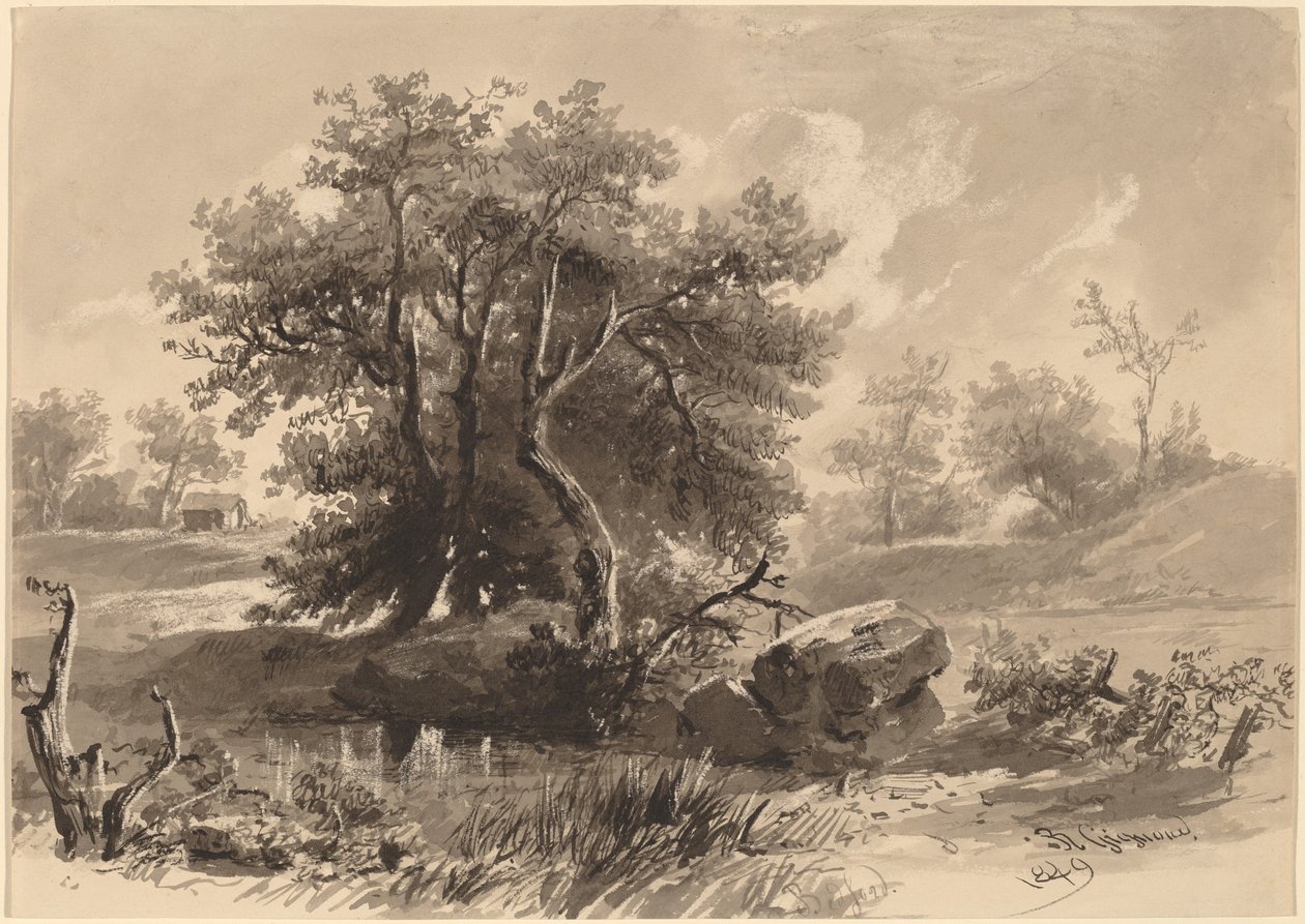 As árvores, Bedford, Nova York de Regis Francois Gignoux