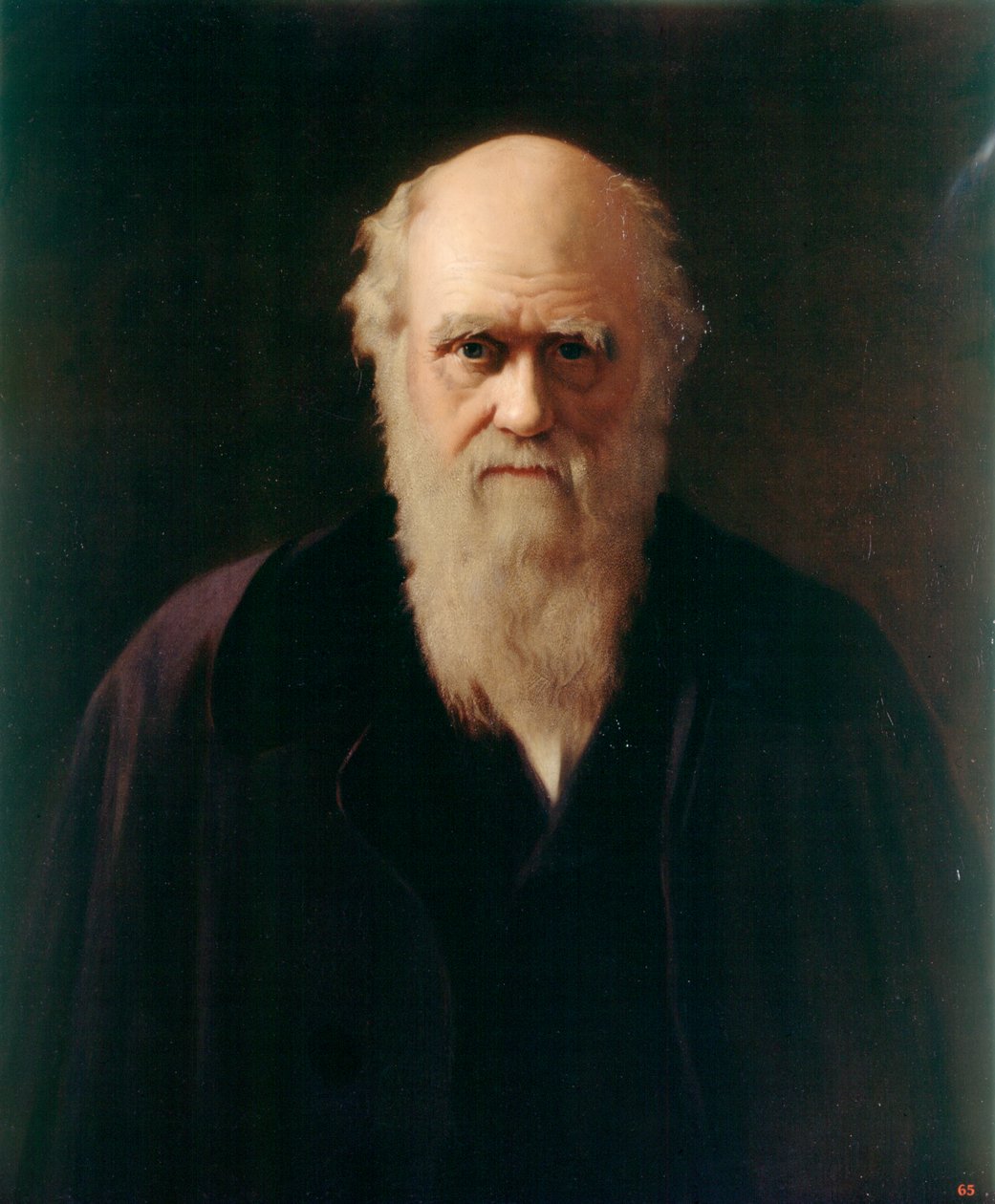 Charles Darwin (petróleo a bordo) de Reilly Reilly