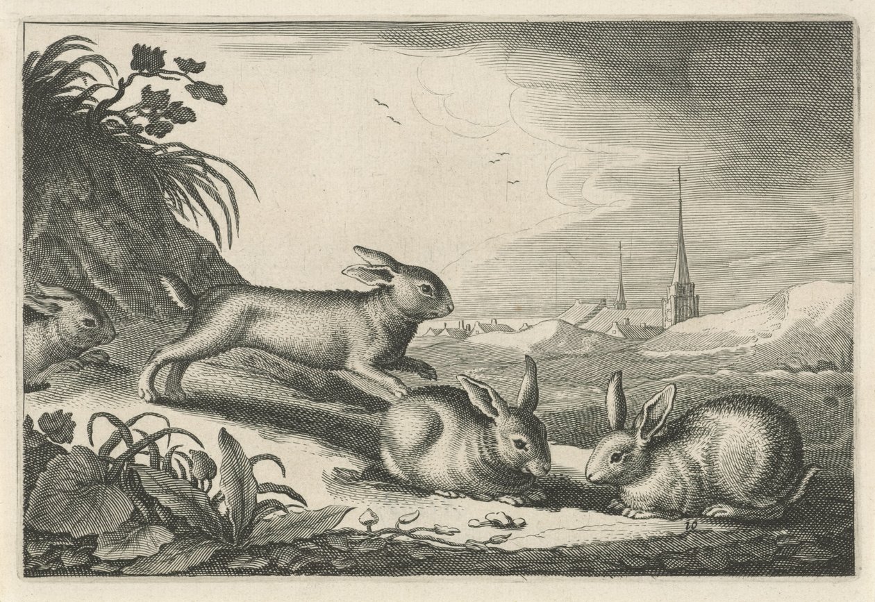 Paisagem de dunas com coelhos Diversa Animalia Quadrupedia (título da série) de Reinier van Persijn