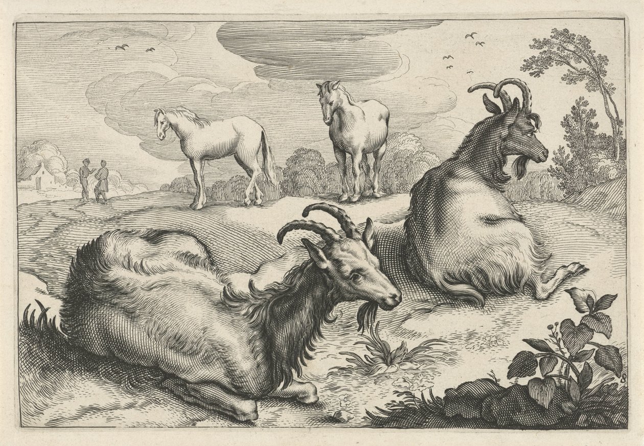 Paisagem com duas cabras e dois cavalos Diversa Animalia Quadrupedia (título da série) de Reinier van Persijn