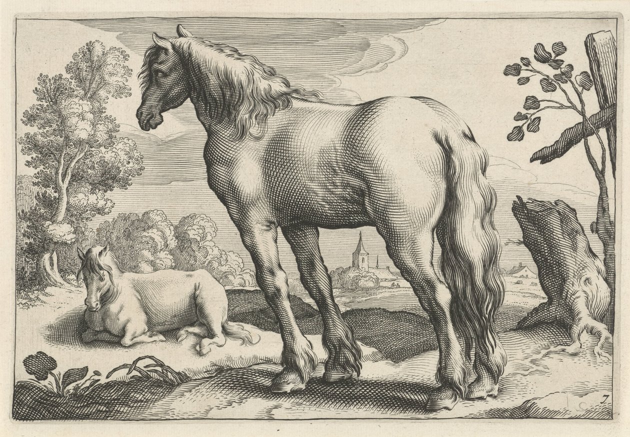 Paisagem com dois cavalos Diversa Animalia Quadrupedia (título da série) de Reinier van Persijn