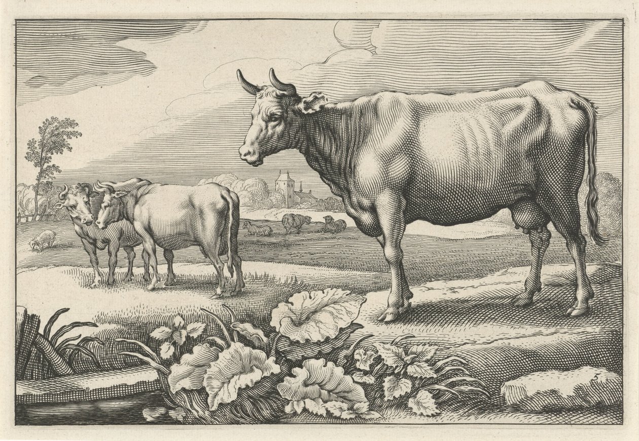 Pasto com vacas Diversa Animalia Quadrupedia (título da série) de Reinier van Persijn