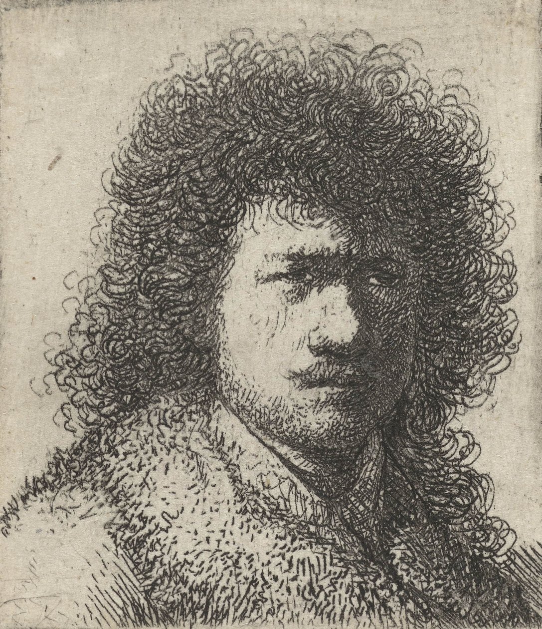 Auto-retrato com cabelo desarrumado, 1628-31 de Rembrandt van Rijn