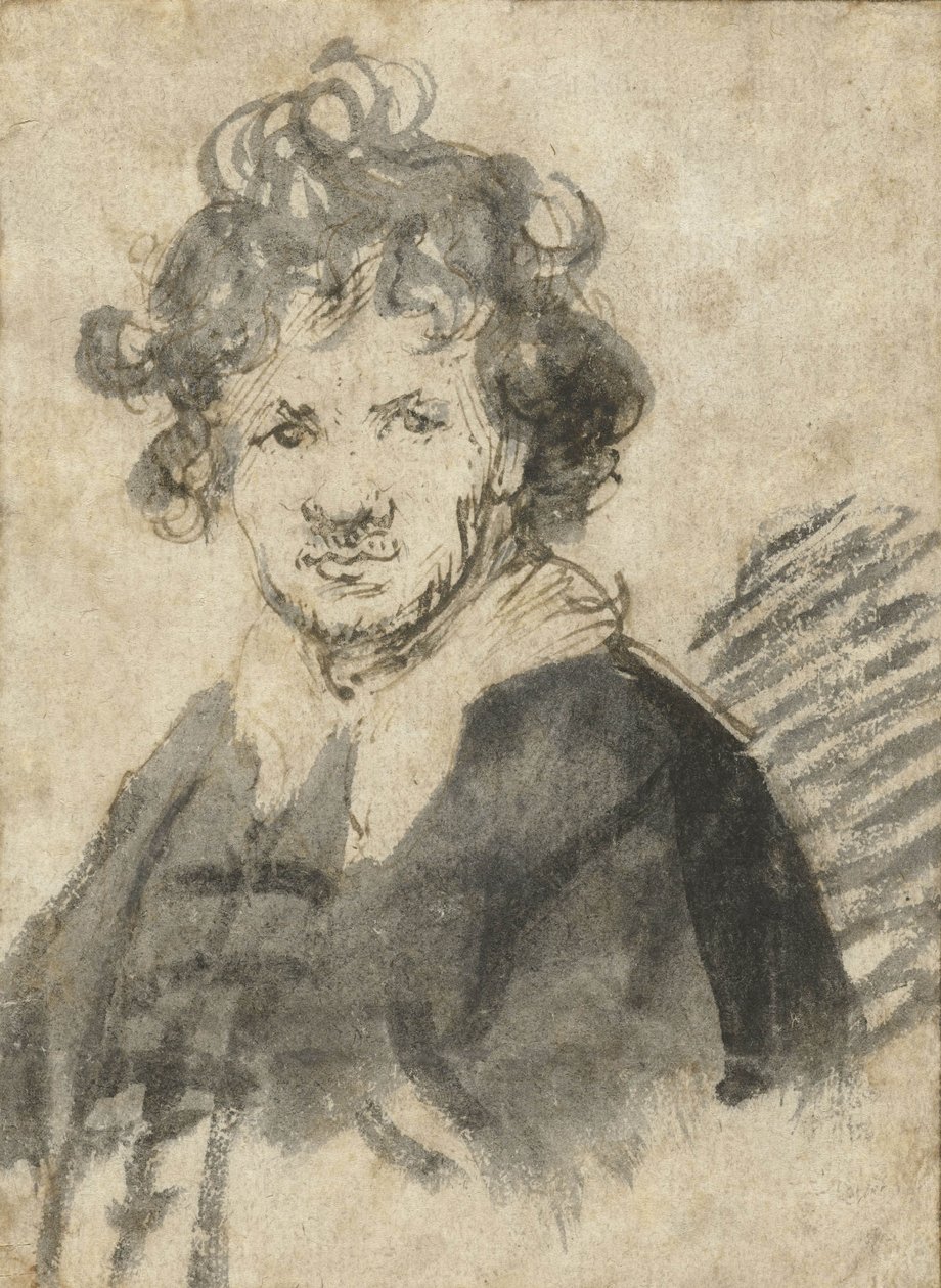 Auto-retrato com cabelos despenteados, c.1628-29 de Rembrandt van Rijn