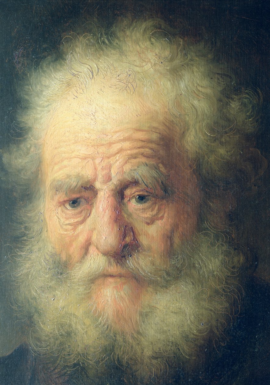 Busto de um homem velho com uma corrente de ouro (detalhe) de Rembrandt van Rijn