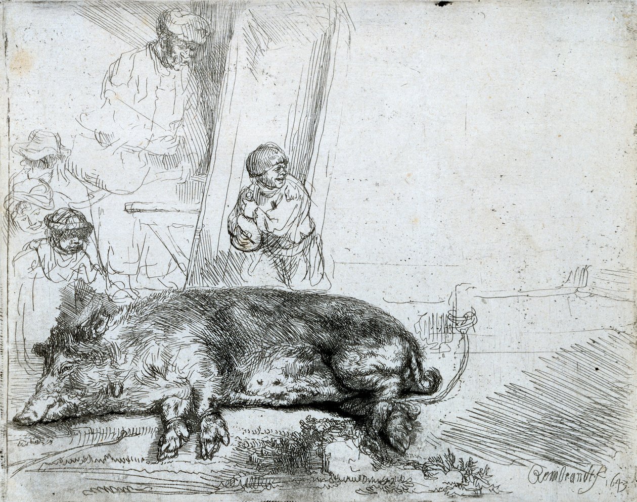O porco, 1643 de Rembrandt van Rijn