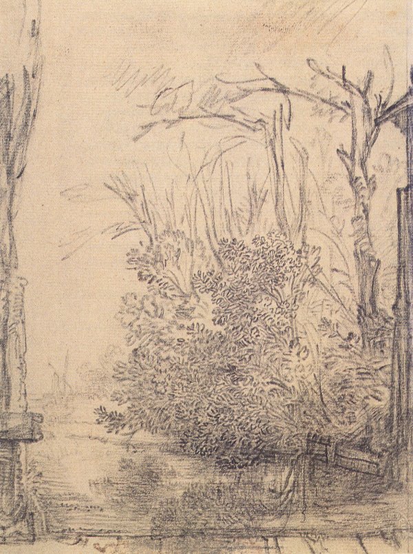 Arbustos salientes em uma vala de Rembrandt van Rijn