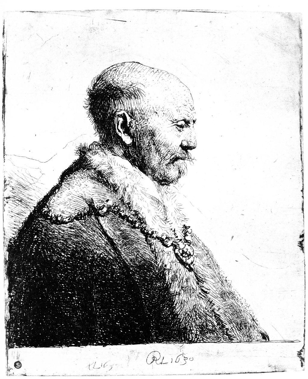 Retrato de um homem careca, 1630 de Rembrandt van Rijn