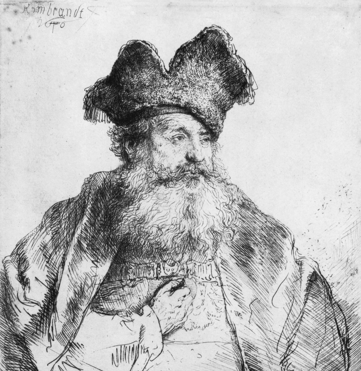 Retrato, de, um, homem velho de Rembrandt van Rijn