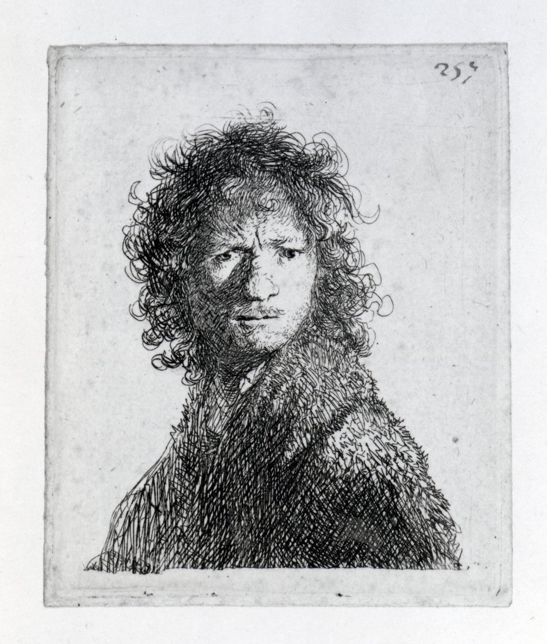 Auto-retrato, 1630 de Rembrandt van Rijn