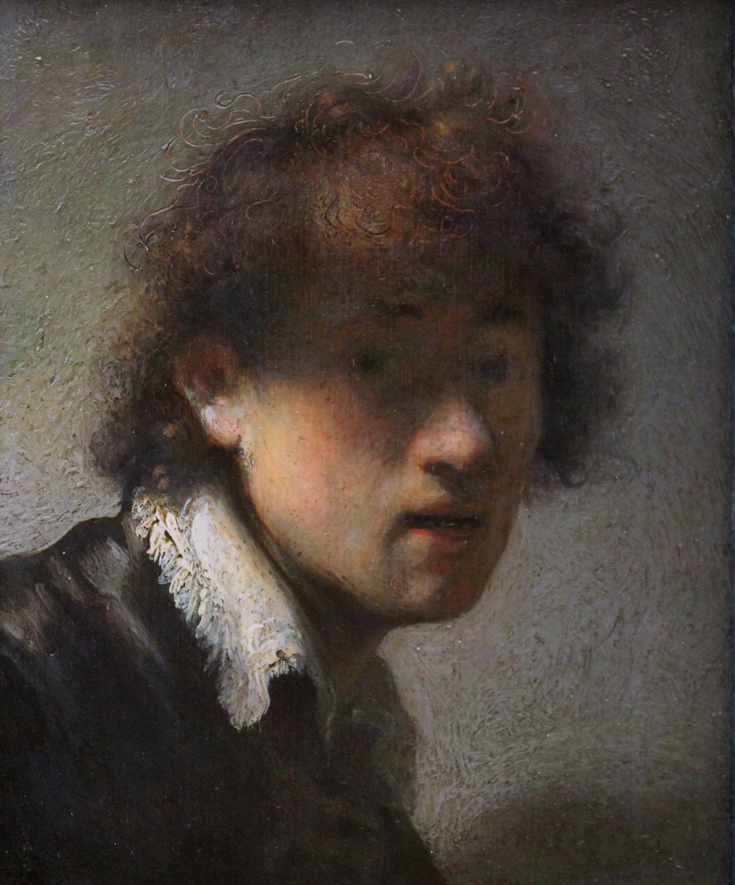 Auto-retrato em tenra idade de Rembrandt van Rijn