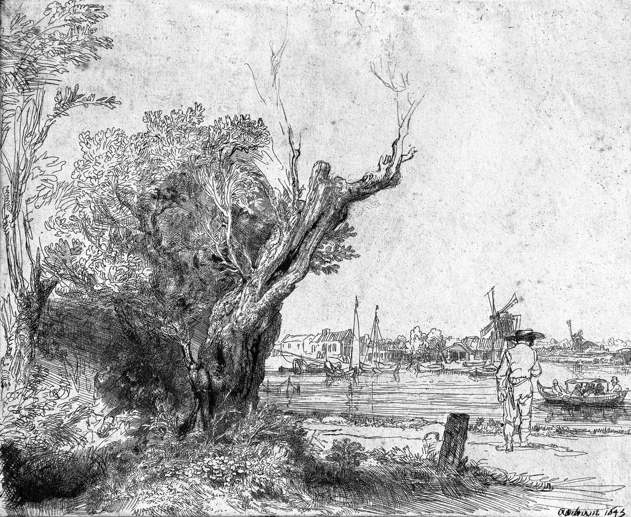 Vista, de, Omval, perto, amsterdão, 1645 de Rembrandt van Rijn