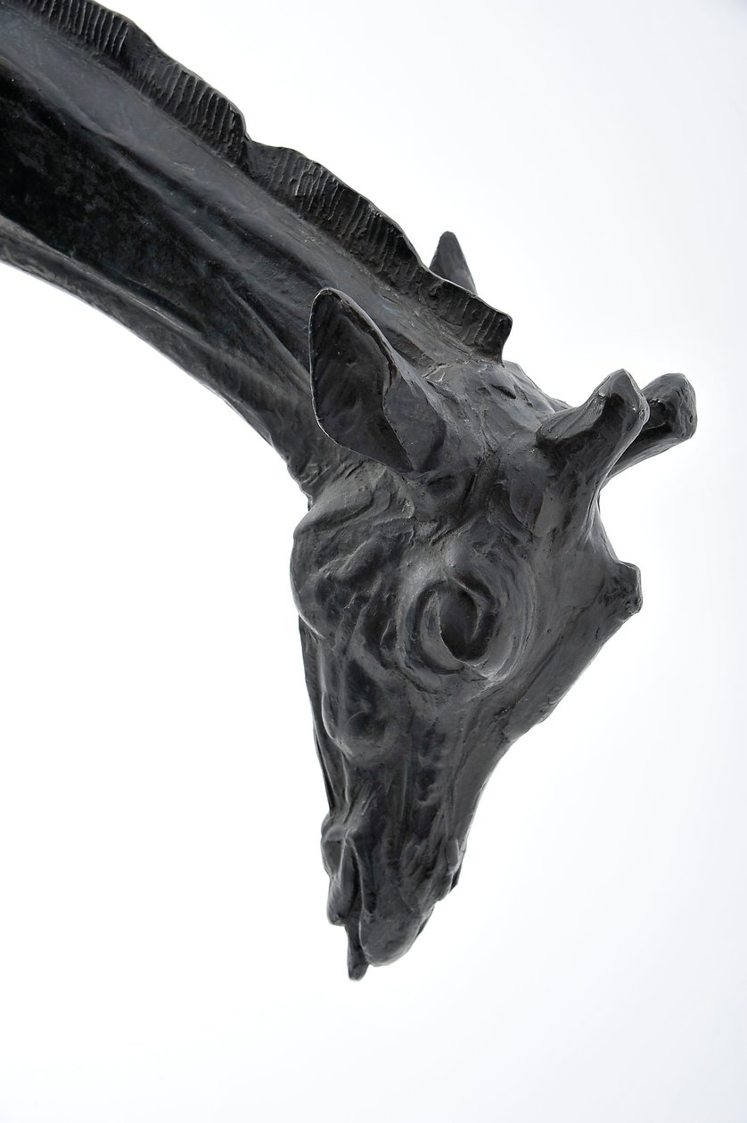 Grande girafa com cabeça abaixada, modelado em 1909-10, fundido antes de 1913 (bronze) (ver também 3084917-43) de Rembrandt Bugatti