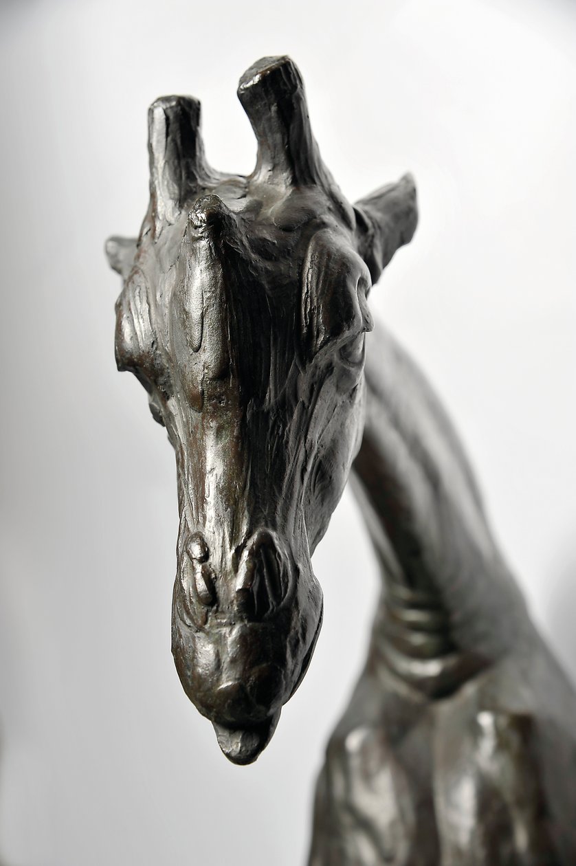 Grande girafa com cabeça abaixada, modelado em 1909-10, fundido antes de 1913 (bronze) (ver também 3084917-43) de Rembrandt Bugatti
