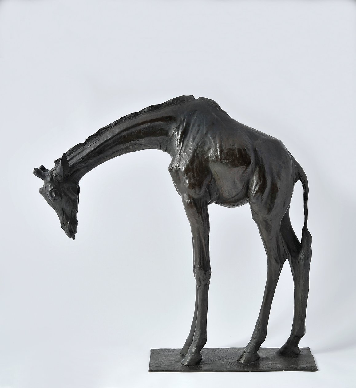Grande girafa com cabeça abaixada, modelado em 1909-10, fundido antes de 1913 de Rembrandt Bugatti