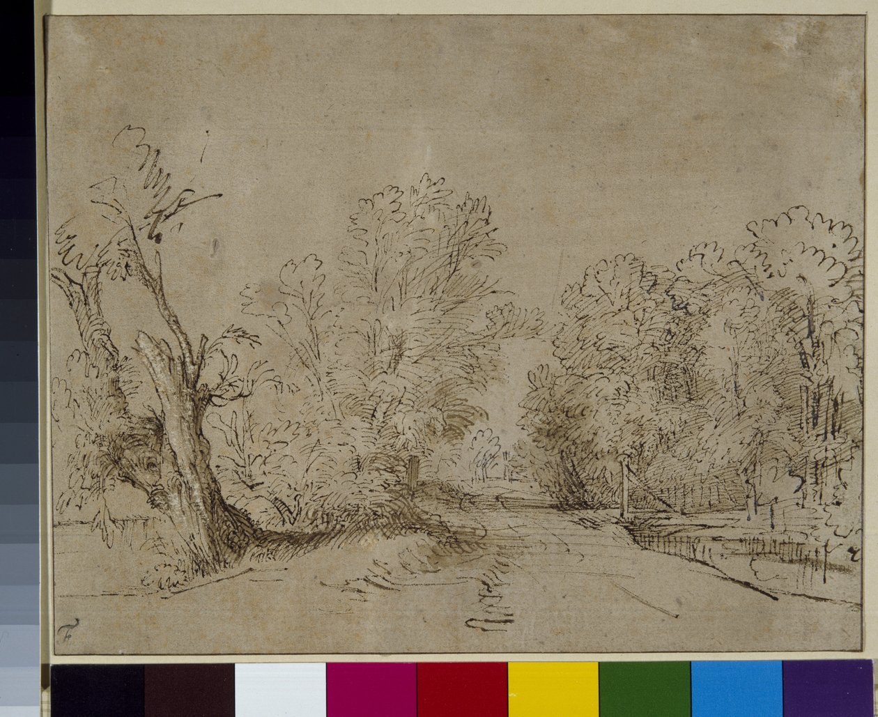 Uma estrada arborizada, c.1650 (caneta e tinta sobre papel) de Rembrandt Harmensz. van Rijn