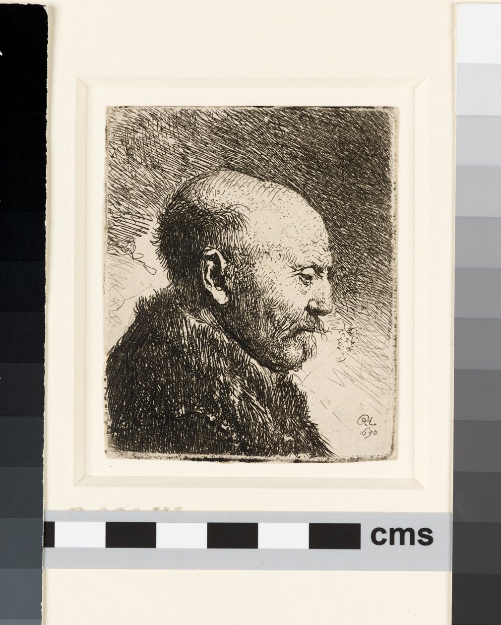Careca de perfil à direita: pai de Rembrandt de Rembrandt van Rijn