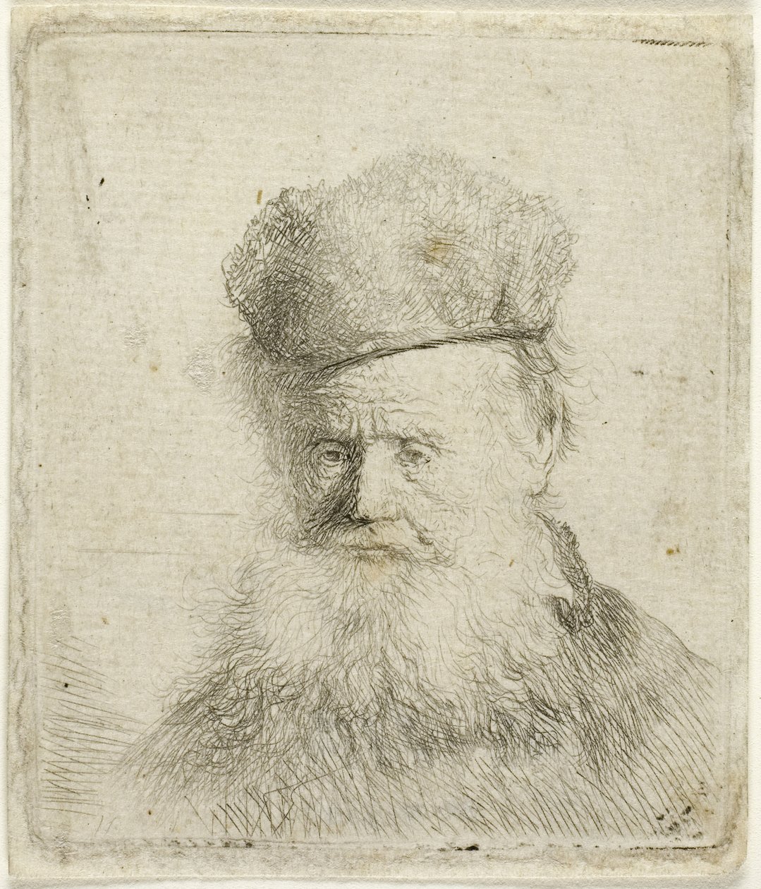 Busto de um Velho com uma touca de pêlo e barba a escorrer, c.1631 (gravura em papel) de Rembrandt Harmensz. van Rijn