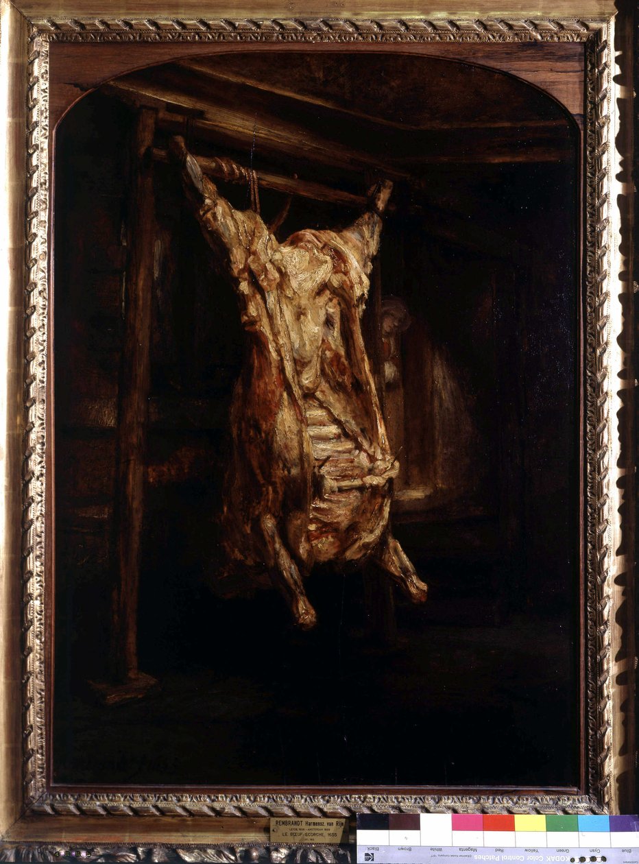 Le Boeuf Pescado por Rembrandt de Rembrandt van Rijn