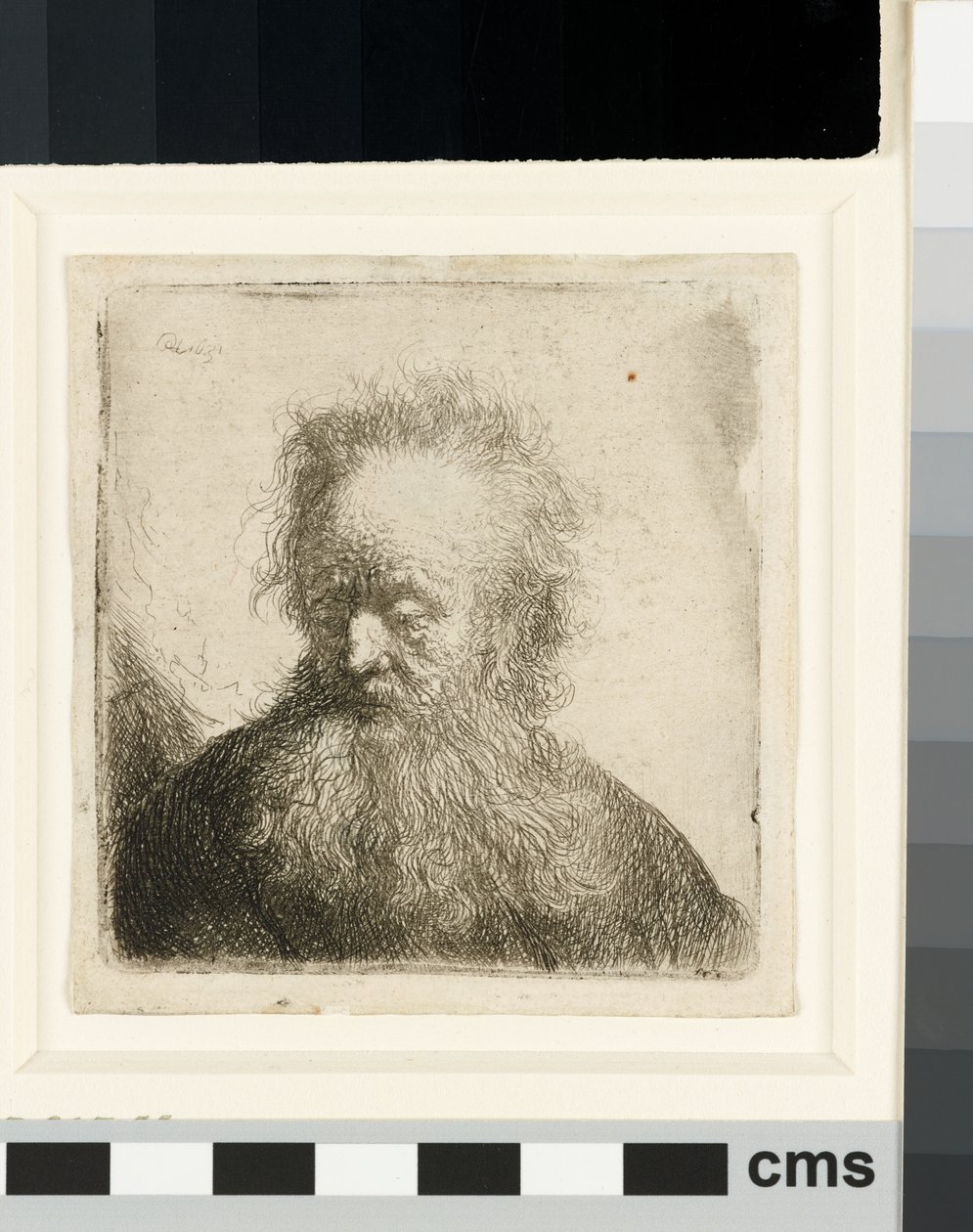 Velho com uma barba esvoaçante: busto de Rembrandt van Rijn